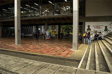 Bajos de Biblioteca 2